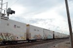 ARMN 170566